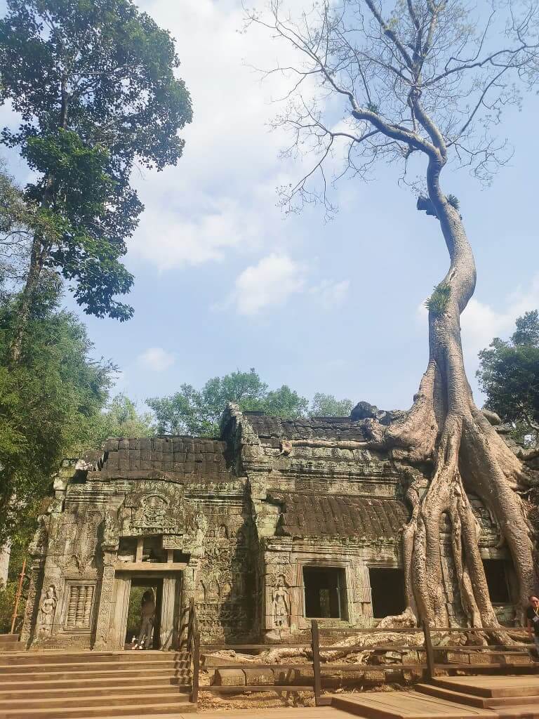 Authentic-Cambodia-Itinerary-11-days-Ta-Prohm-Siem-Reap-1.jpg