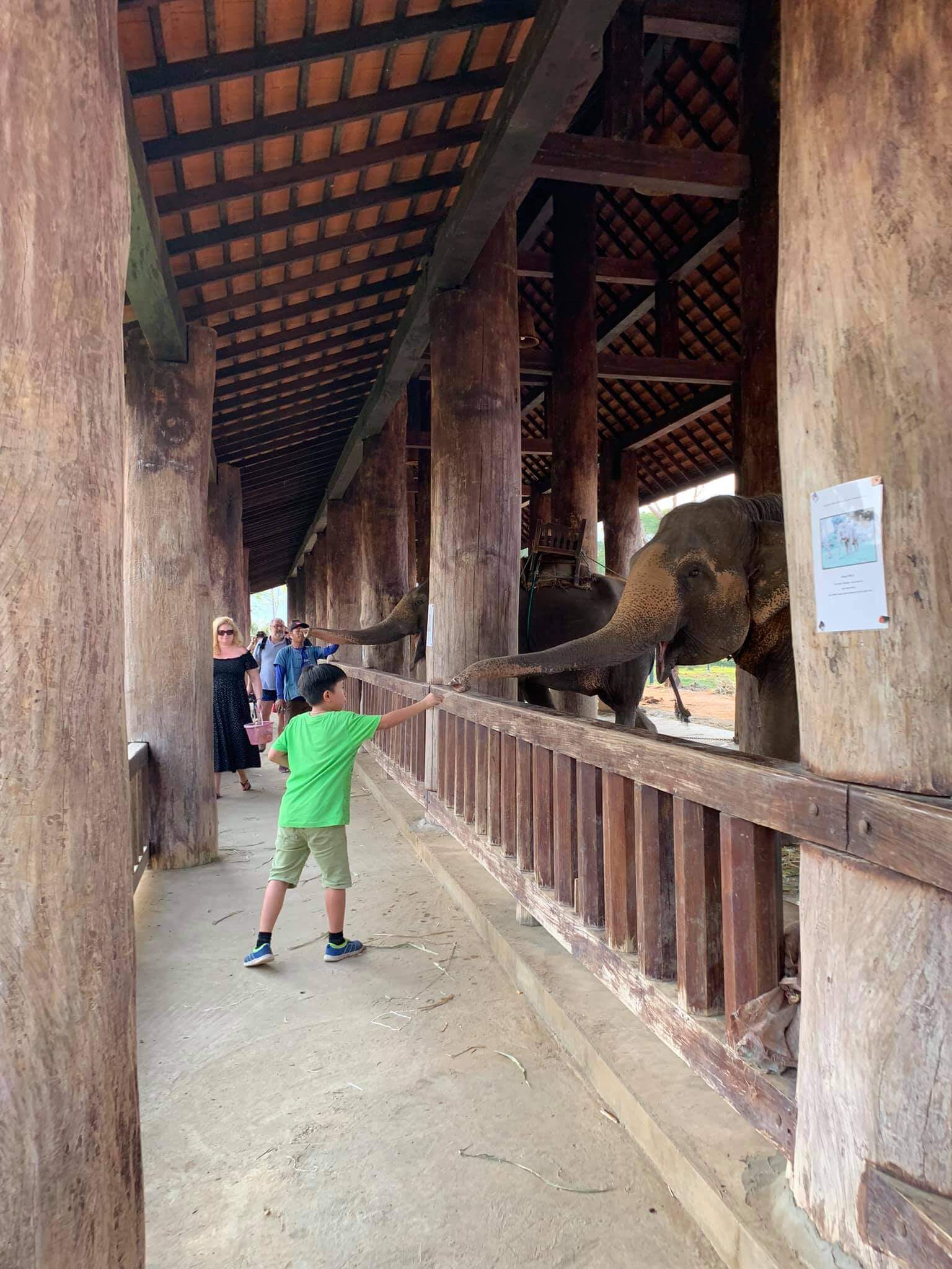 Authentic-Laos-Tour-9-Days-Elephant-experience-Luang-Prabang.jpg