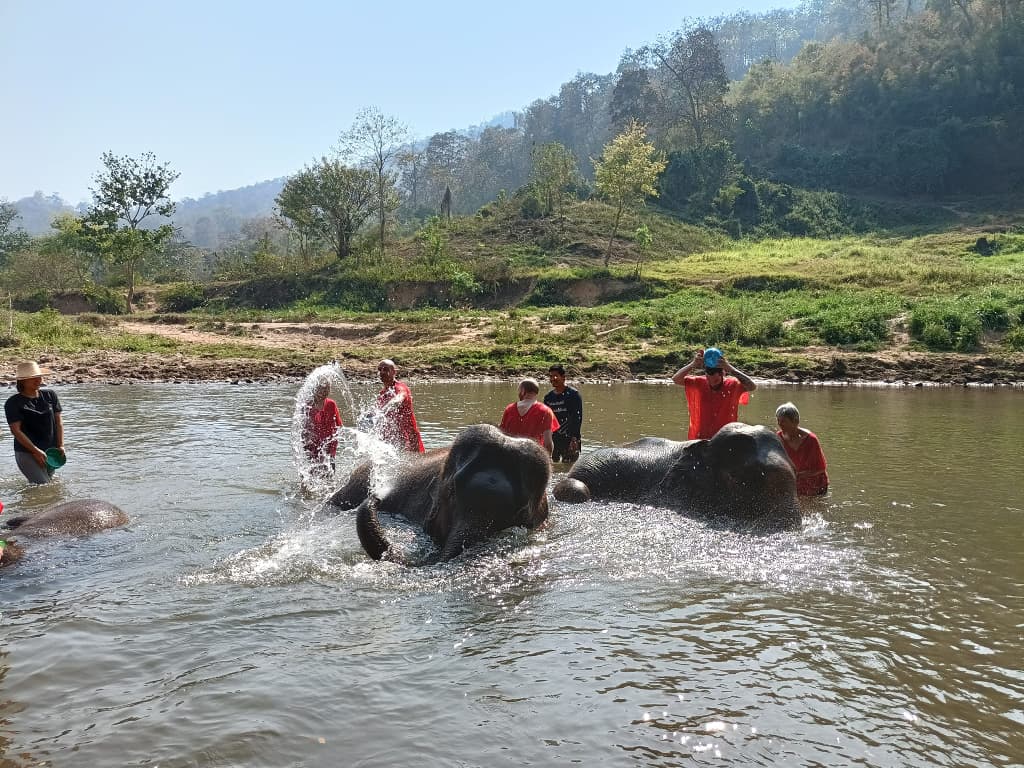 Authentic-Northern-Thailand-8-days-Elephant-Sanctuary-in-Chiang-Mai-34.jpg