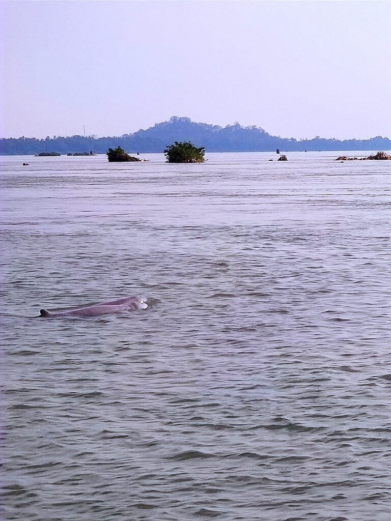 Cambodia-Trip-13-Days-Angkor-Wat-Siem-Reap-Dolphin-Kratie.jpg