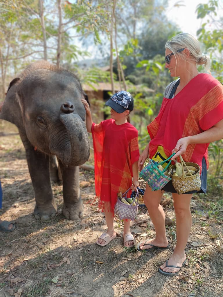 Elephant-Sanctuary-in-Chiang-Mai-31-Thailand-Family-Holiday-15-Days.jpg