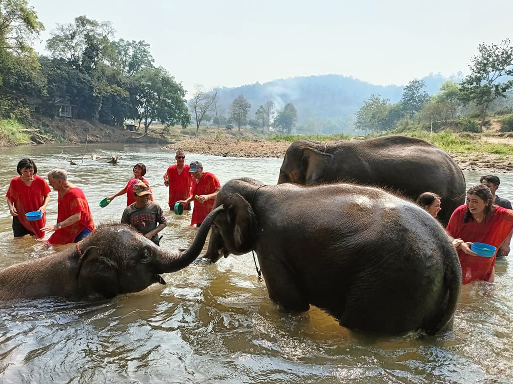 Highlights-of-Southeast-Asia-21-Days-Elephant-Sanctuary-in-Chiang-Mai-29.jpg