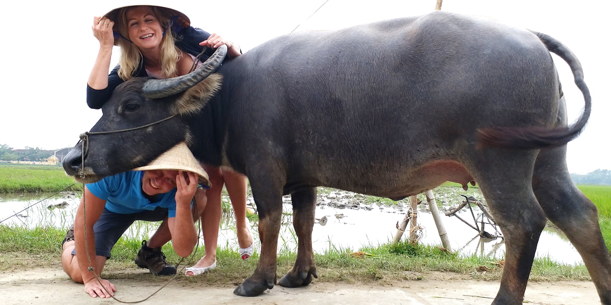 Luxurious-Vietnam-Cambodia-Vacation-18-days-hoi-an-buffalo.jpg