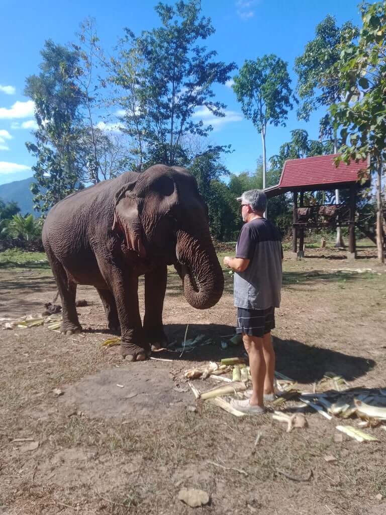 Luxury-Laos-Vacation-7-Days-Elephant-Experience-2.jpg